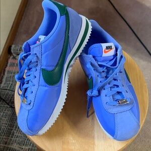 Nike Vibrant Blue and Dark Green Sneakers